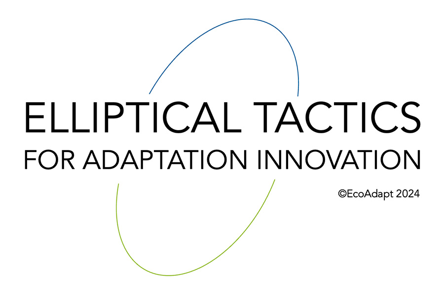 ELLIPTICAL TACTICS